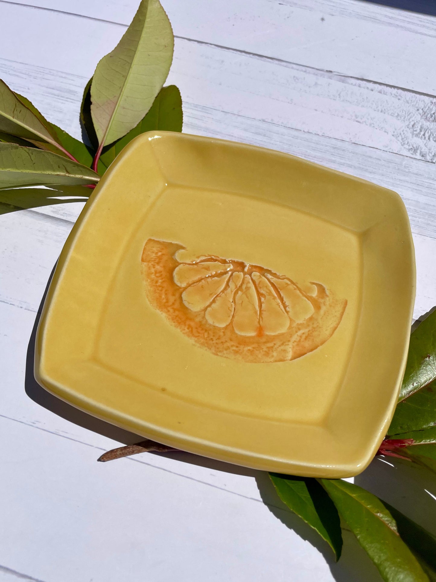 The Citrus Collection 