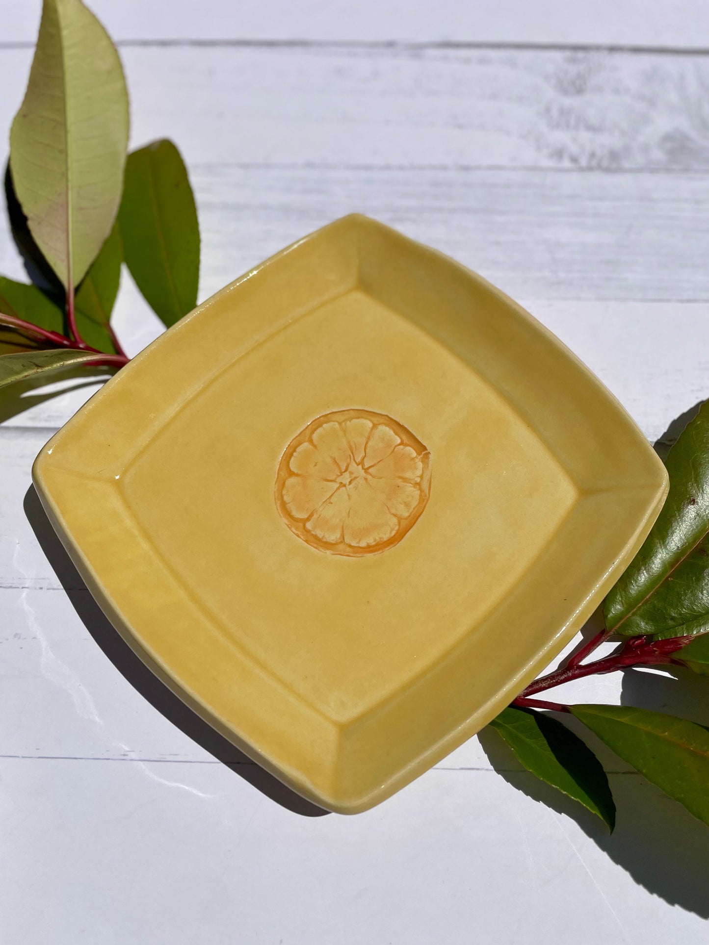 The Citrus Collection 